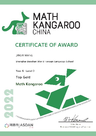 Shanghai BWFLS-Wang Jingyi